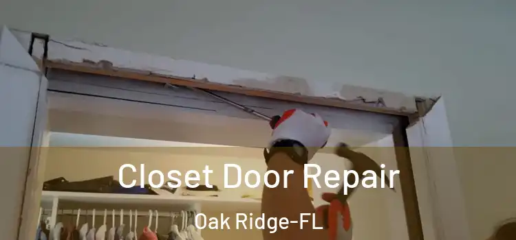  Closet Door Repair Oak Ridge-FL