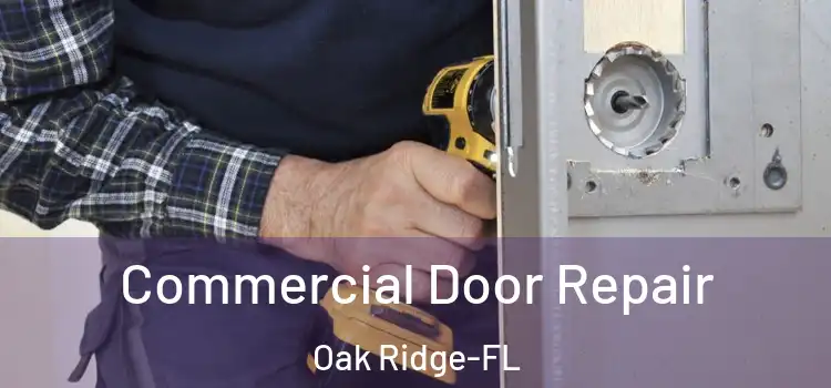  Commercial Door Repair Oak Ridge-FL