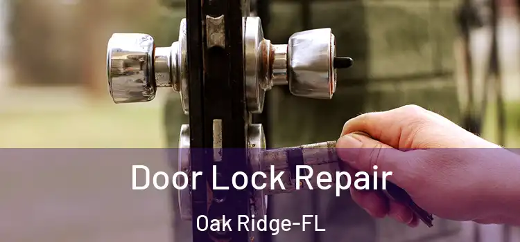 Door Lock Repair Oak Ridge-FL
