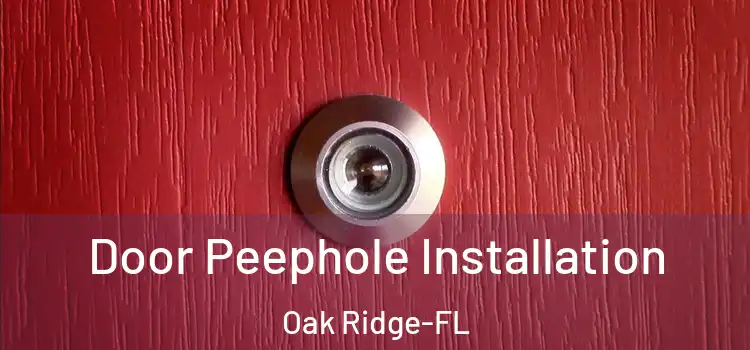  Door Peephole Installation Oak Ridge-FL