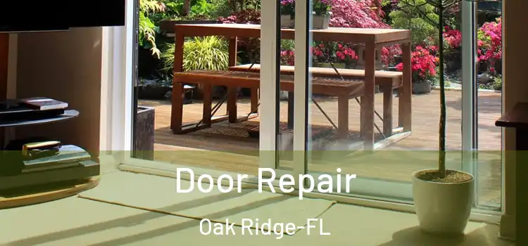  Door Repair Oak Ridge-FL