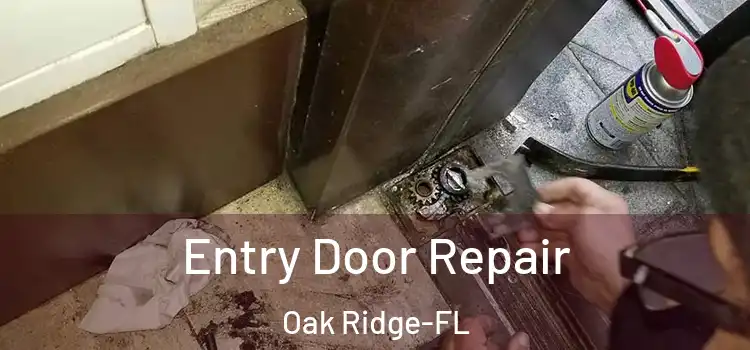  Entry Door Repair Oak Ridge-FL