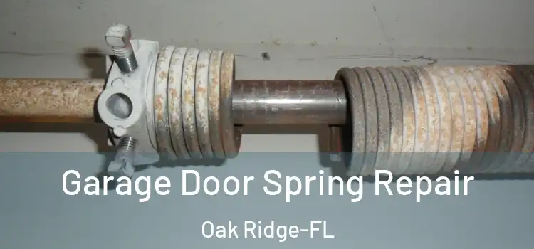  Garage Door Spring Repair Oak Ridge-FL