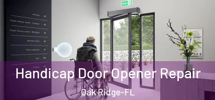  Handicap Door Opener Repair Oak Ridge-FL