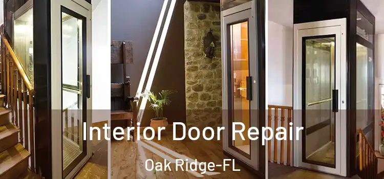  Interior Door Repair Oak Ridge-FL