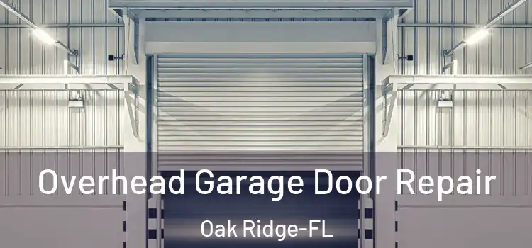 Overhead Garage Door Repair Oak Ridge-FL