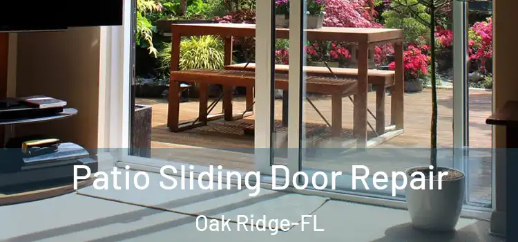 Patio Sliding Door Repair Oak Ridge-FL