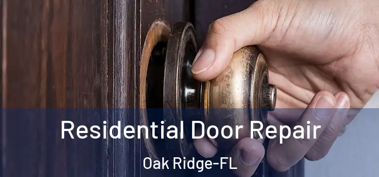 Residential Door Repair Oak Ridge-FL