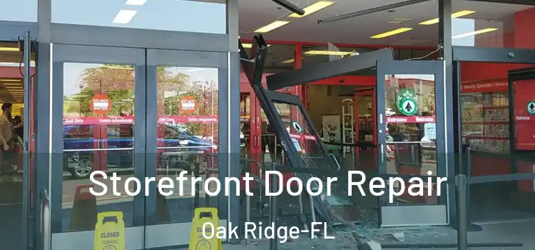  Storefront Door Repair Oak Ridge-FL