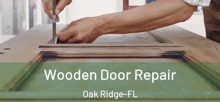  Wooden Door Repair Oak Ridge-FL